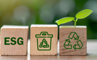 Sustainable Investing: ESG and Socially Responsible Investments